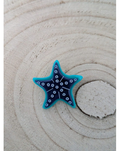 Broche Estrella