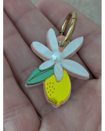 Pendientes Poesía De Limón