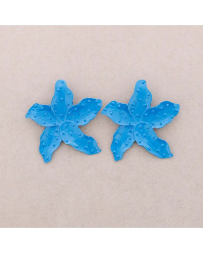 Pendientes Estrella de Mar